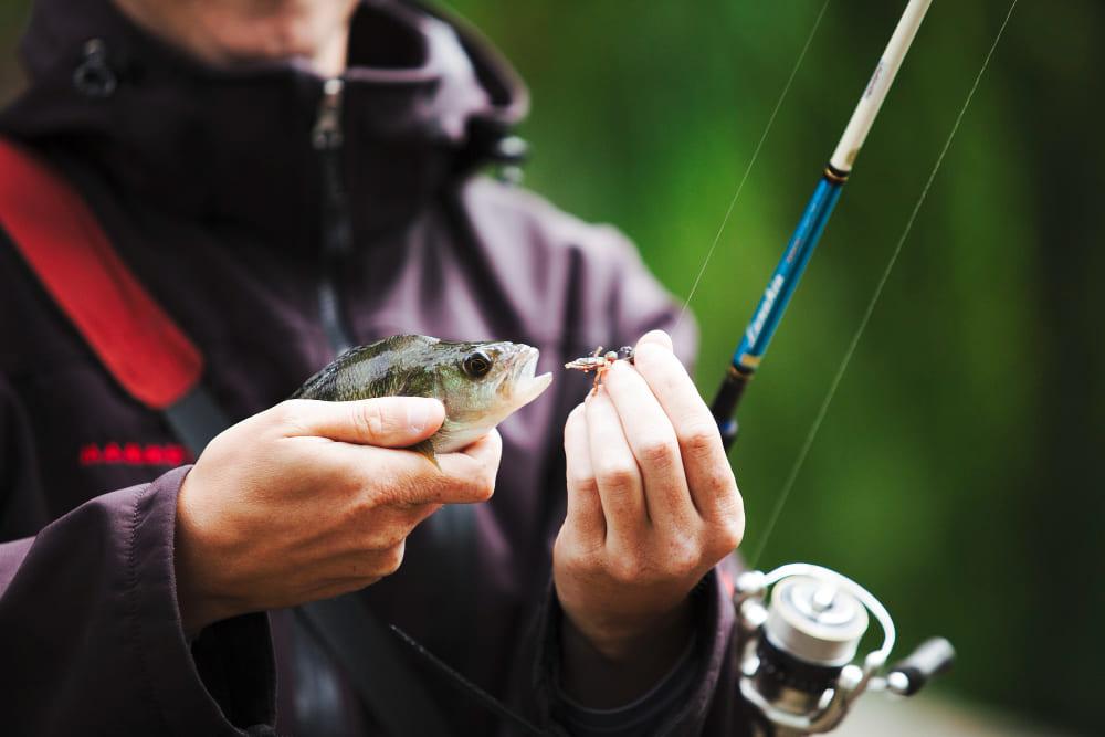 Pesca en la Patagonia: Mejores lugares y capturas